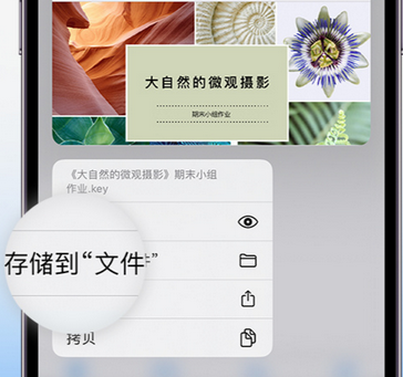 西工apple维修中心分享iPhone文件应用中存储和找到下载文件