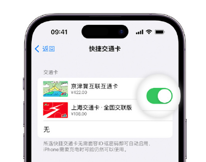 西工apple维修点分享iPhone上更换Apple Pay快捷交通卡手绘卡面 