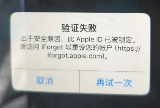 西工iPhone维修分享iPhone上正常登录或使用AppleID怎么办 