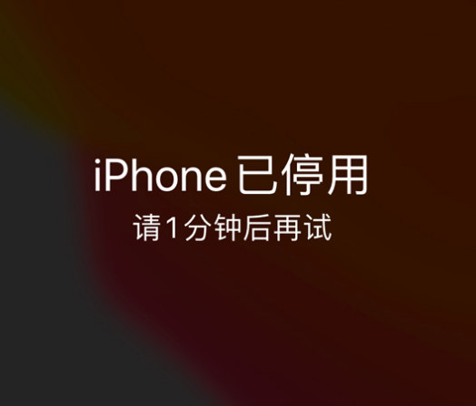 西工苹果手机维修分享:iPhone 显示“不可用”或“已停用”怎么办？还能保留数据吗？ 