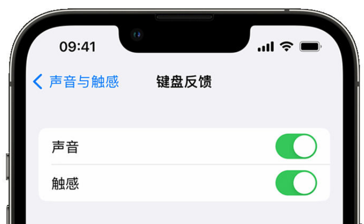 西工苹果手机维修分享iPhone 14触感键盘使用方法 