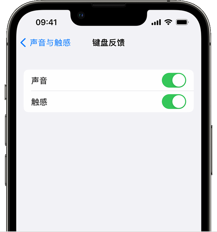 西工苹果14维修店分享如何在 iPhone 14 机型中使用触感键盘 