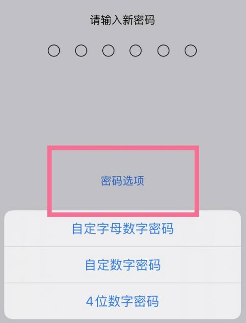 西工苹果14维修分享iPhone 14plus设置密码的方法 