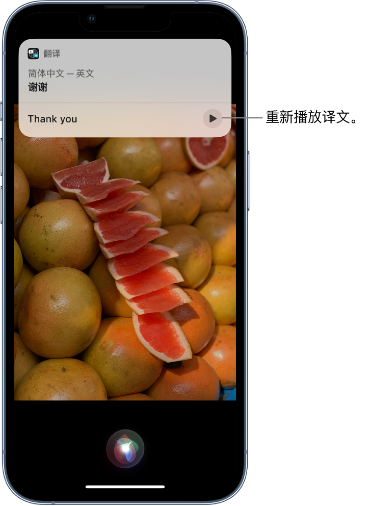 西工苹果14维修分享 iPhone 14 机型中使用 Siri：了解 Siri 能帮你做什么 