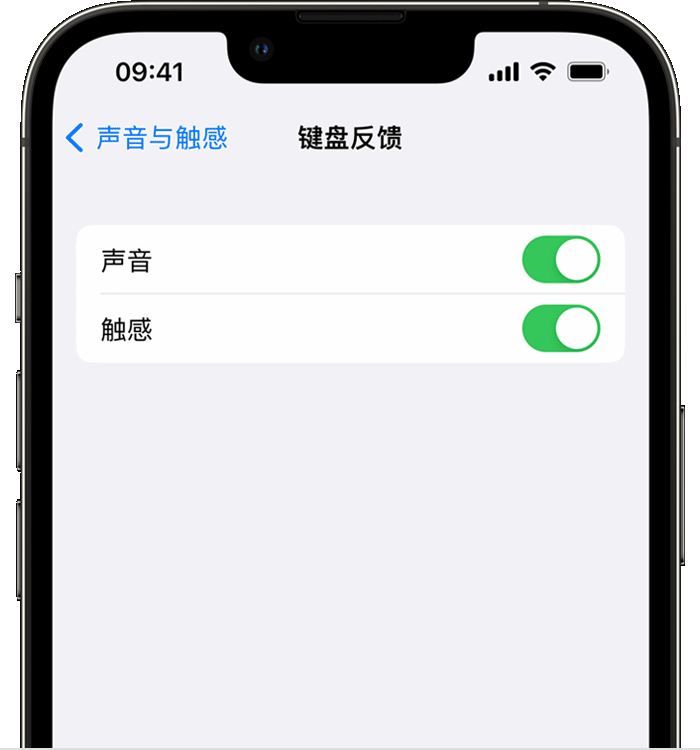 西工苹果14维修分享iPhone 14 系列机型如何开启键盘声音或触感反馈 