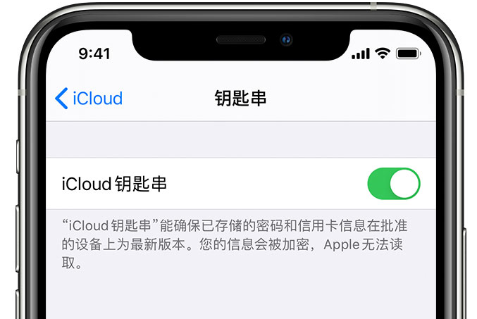 西工苹果手机维修分享在 iPhone 上开启 iCloud 钥匙串之后会储存哪些信息 