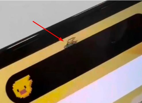 西工苹果14维修分享iPhone 14 Pro Max灵动岛怎么养宠物 