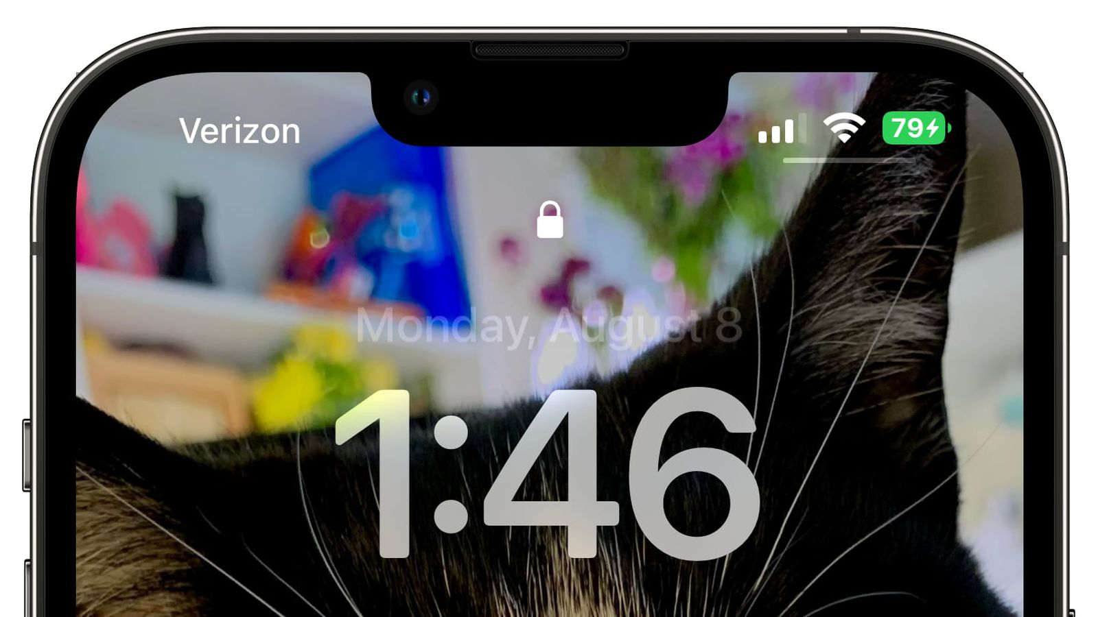 西工苹果手机维修分享iOS 16 beta 5 支持状态栏显示电池百分比，如何开启？支持哪些机型 