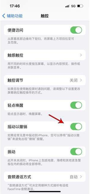 西工苹果手机维修分享iPhone手机如何设置摇一摇删除文字 