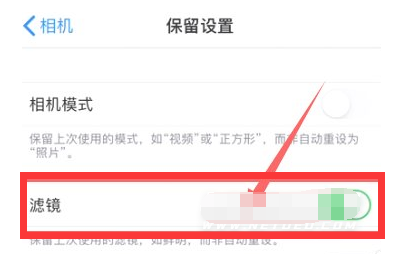 西工苹果13维修分享iPhone13拍照有绿点是怎么回事 