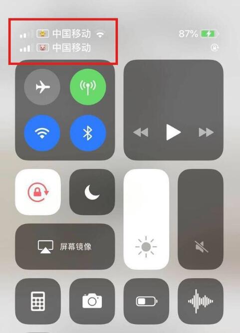 西工苹果手机维修分享为 iPhone 12 双卡设置标签 